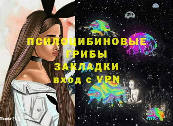 молекула духа Алексеевка