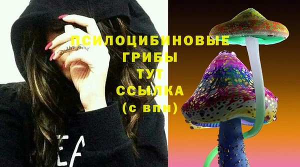 молекула духа Алексеевка