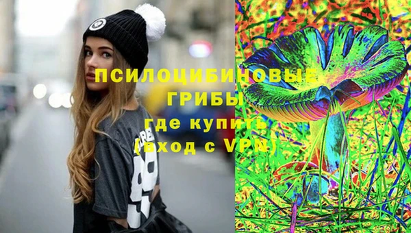 молекула духа Алексеевка