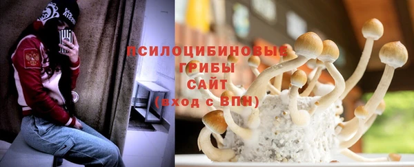 молекула духа Алексеевка