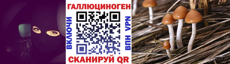 Галлюциногенные грибы Psilocybe Находка