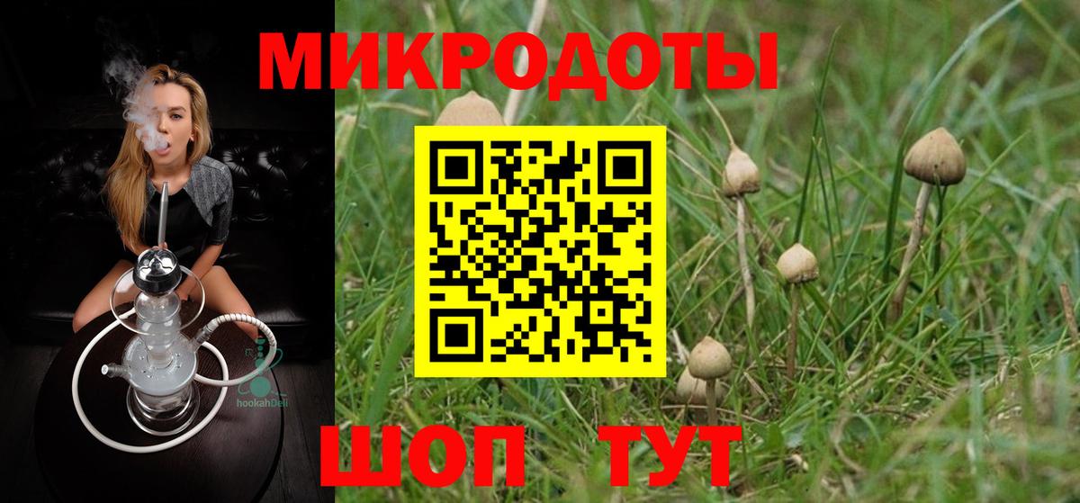 Псилоцибиновые грибы ЛСД Находка
