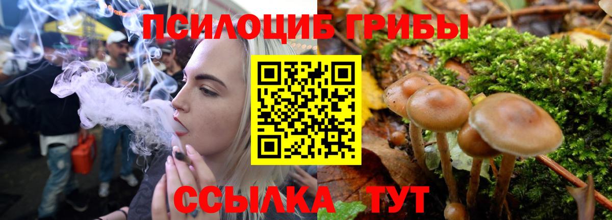 где найти наркотики  Псилоцибиновые грибы Psilocybe  Вход с VPN  Находка 