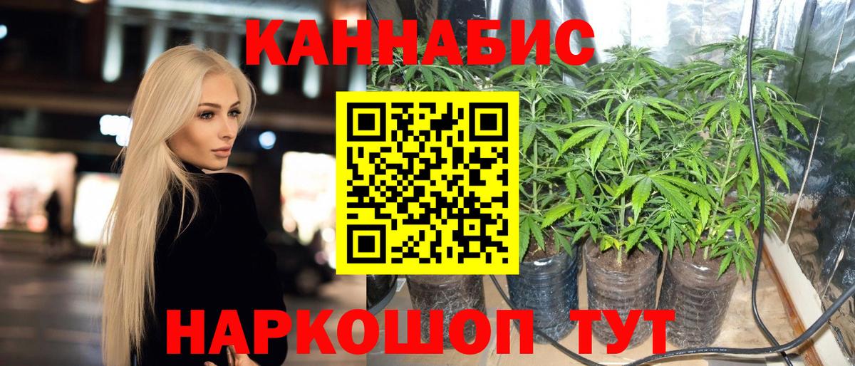 Находка  Каннабис семена  Конопля марихуана  Каннабис ГИДРОПОН  Вход с VPN  Конопля White Widow 
